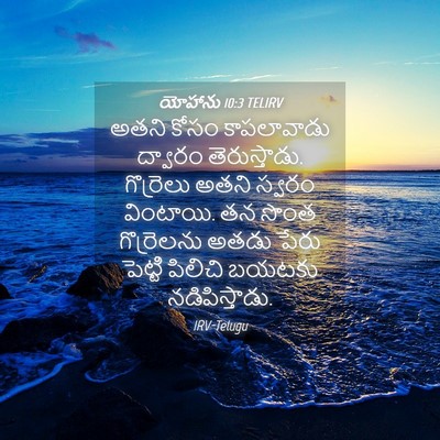 Picture 04 - యోహాను 10:3 TELIRV - అతని కోసం - Bible Verse Picture
