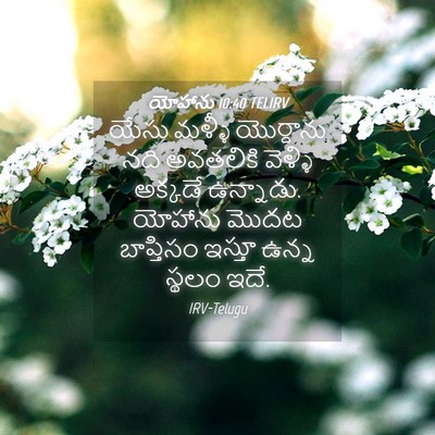 Picture 04 - యోహాను 10:40 TELIRV - యేసు మళ్ళీ - Bible Verse Picture