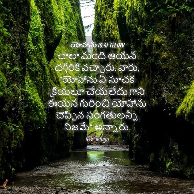Picture 04 - యోహాను 10:41 TELIRV - చాలా మంది ఆయన - Bible Verse Picture