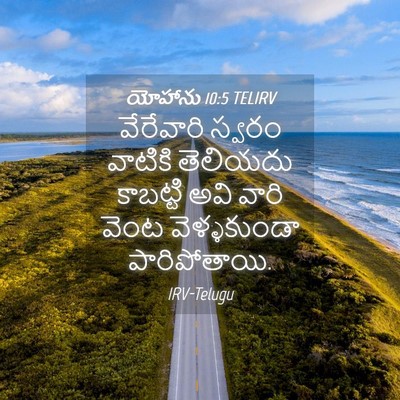 Picture 04 - యోహాను 10:5 TELIRV - వేరేవారి స్వరం - Bible Verse Picture