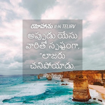 Picture 04 - యోహాను 11:14 TELIRV - అప్పుడు యేసు - Bible Verse Picture