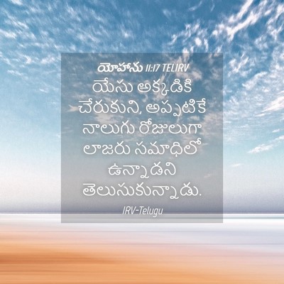 Picture 04 - యోహాను 11:17 TELIRV - యేసు అక్కడికి - Bible Verse Picture