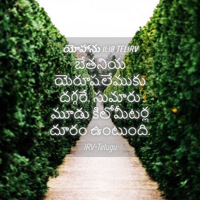 Picture 04 - యోహాను 11:18 TELIRV - బేతనియ - Bible Verse Picture