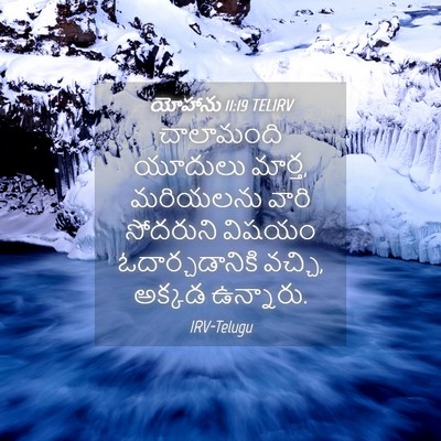 Picture 04 - యోహాను 11:19 TELIRV - చాలామంది యూదులు - Bible Verse Picture