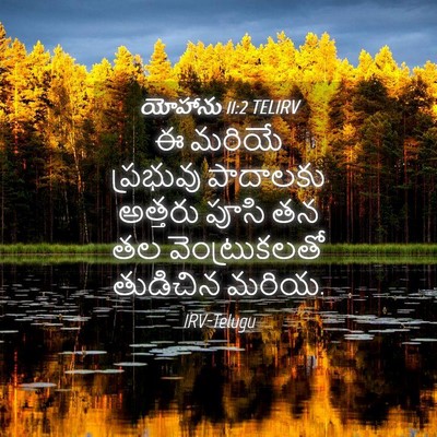 Picture 04 - యోహాను 11:2 TELIRV - ఈ మరియే ప్రభువు - Bible Verse Picture