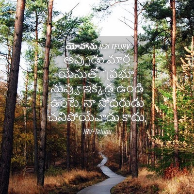 Picture 04 - యోహాను 11:21 TELIRV - అప్పుడు మార్త - Bible Verse Picture