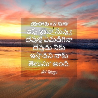 Picture 04 - యోహాను 11:22 TELIRV - ఇప్పుడైనా నువ్వు - Bible Verse Picture