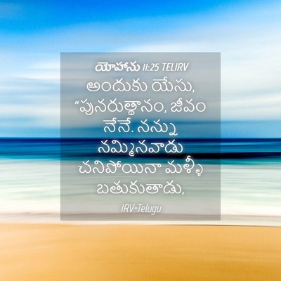 Picture 04 - యోహాను 11:25 TELIRV - అందుకు యేసు, - Bible Verse Picture