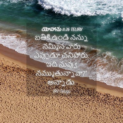 Picture 04 - యోహాను 11:26 TELIRV - బతికి ఉండి నన్ను - Bible Verse Picture