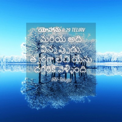 Picture 04 - యోహాను 11:29 TELIRV - మరియ అది - Bible Verse Picture