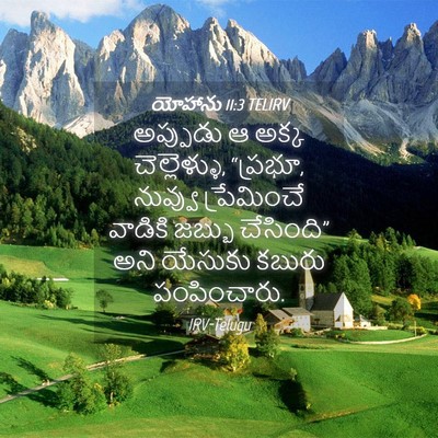 Picture 04 - యోహాను 11:3 TELIRV - అప్పుడు ఆ అక్క - Bible Verse Picture
