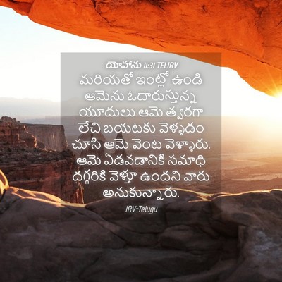 Picture 04 - యోహాను 11:31 TELIRV - మరియతో ఇంట్లో - Bible Verse Picture