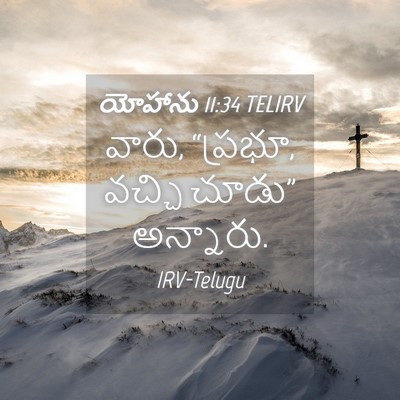 Picture 04 - యోహాను 11:34 TELIRV - వారు, “ప్రభూ, వచ్చి - Bible Verse Picture