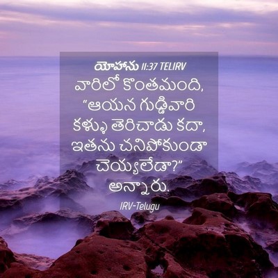 Picture 04 - యోహాను 11:37 TELIRV - వారిలో కొంతమంది, - Bible Verse Picture