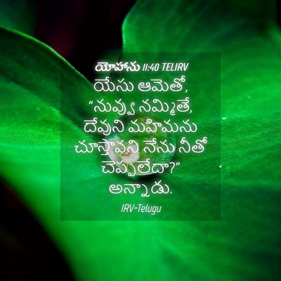 Picture 04 - యోహాను 11:40 TELIRV - యేసు ఆమెతో, - Bible Verse Picture