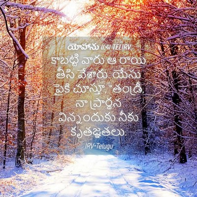 Picture 04 - యోహాను 11:41 TELIRV - కాబట్టి వారు ఆ - Bible Verse Picture