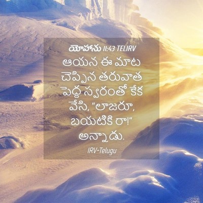 Picture 04 - యోహాను 11:43 TELIRV - ఆయన ఈ మాట చెప్పిన - Bible Verse Picture