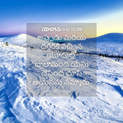 Picture 04 - యోహాను 11:45 TELIRV - అప్పుడు మరియ - Bible Verse Picture