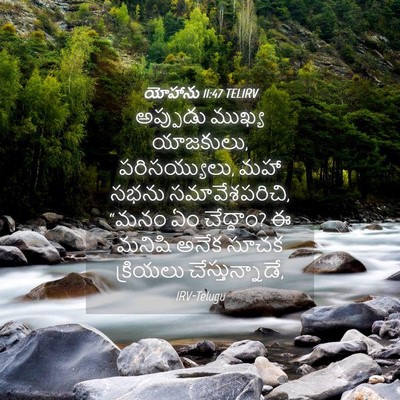 Picture 04 - యోహాను 11:47 TELIRV - అప్పుడు ముఖ్య - Bible Verse Picture