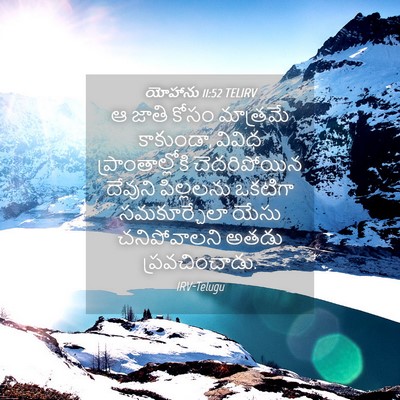 Picture 04 - యోహాను 11:52 TELIRV - ఆ జాతి కోసం - Bible Verse Picture
