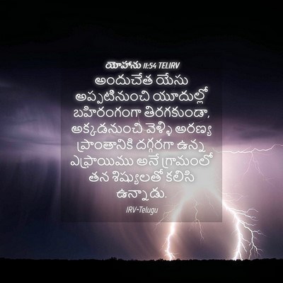 Picture 04 - యోహాను 11:54 TELIRV - అందుచేత యేసు - Bible Verse Picture