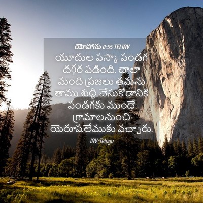 Picture 04 - యోహాను 11:55 TELIRV - యూదుల పస్కా పండగ - Bible Verse Picture
