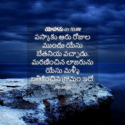 Picture 04 - యోహాను 12:1 TELIRV - పస్కాకు ఆరు రోజుల - Bible Verse Picture