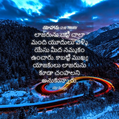 Picture 04 - యోహాను 12:10 TELIRV - లాజరును బట్టి - Bible Verse Picture