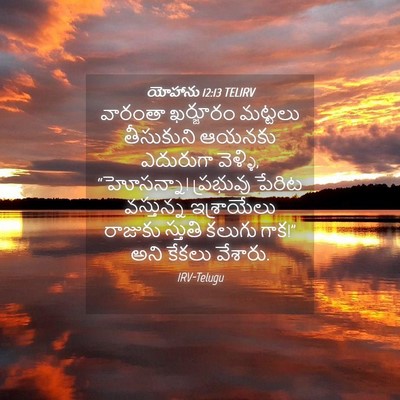 Picture 04 - యోహాను 12:13 TELIRV - వారంతా ఖర్జూరం - Bible Verse Picture