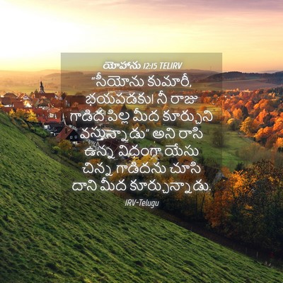 Picture 04 - యోహాను 12:15 TELIRV - “సీయోను కుమారీ, - Bible Verse Picture