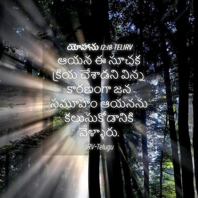 Picture 04 - యోహాను 12:18 TELIRV - ఆయన ఈ సూచక క్రియ - Bible Verse Picture