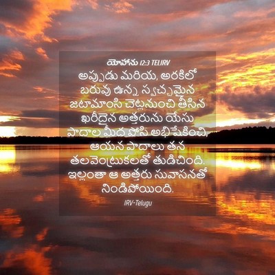 Picture 04 - యోహాను 12:3 TELIRV - అప్పుడు మరియ, - Bible Verse Picture