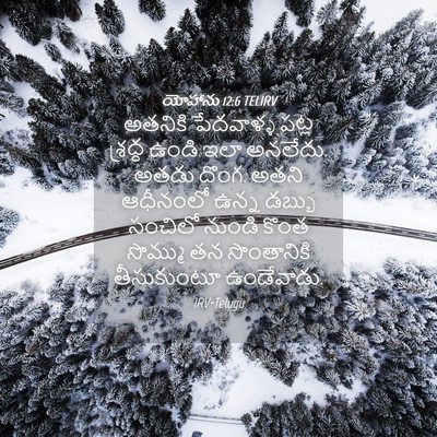 Picture 04 - యోహాను 12:6 TELIRV - అతనికి పేదవాళ్ళ - Bible Verse Picture