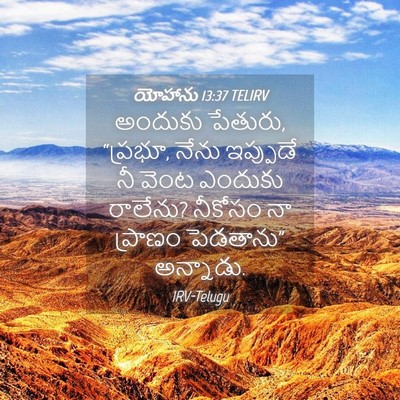 Picture 04 - యోహాను 13:37 TELIRV - అందుకు పేతురు, - Bible Verse Picture