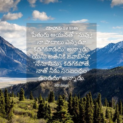 Picture 04 - యోహాను 13:8 TELIRV - పేతురు ఆయనతో, - Bible Verse Picture