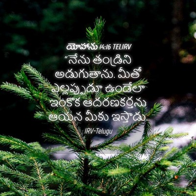 Picture 04 - యోహాను 14:16 TELIRV - “నేను తండ్రిని - Bible Verse Picture