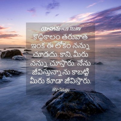 Picture 04 - యోహాను 14:19 TELIRV - కొద్దికాలం తరువాత - Bible Verse Picture