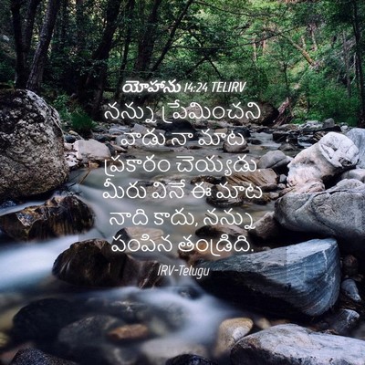 Picture 04 - యోహాను 14:24 TELIRV - నన్ను ప్రేమించని - Bible Verse Picture