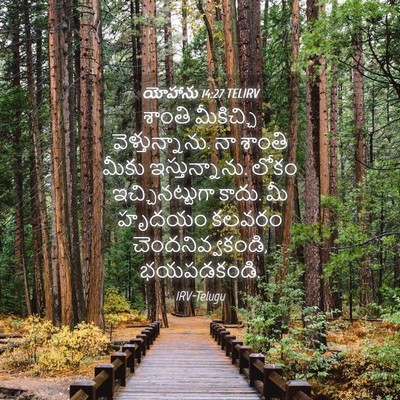 Picture 04 - యోహాను 14:27 TELIRV - శాంతి మీకిచ్చి - Bible Verse Picture