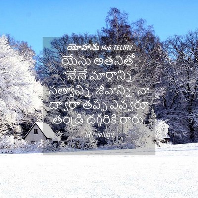 Picture 04 - యోహాను 14:6 TELIRV - యేసు అతనితో, “నేనే - Bible Verse Picture