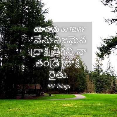 Picture 04 - యోహాను 15:1 TELIRV - “నేను నిజమైన - Bible Verse Picture