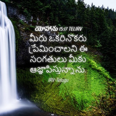 Picture 04 - యోహాను 15:17 TELIRV - మీరు ఒకరినొకరు - Bible Verse Picture