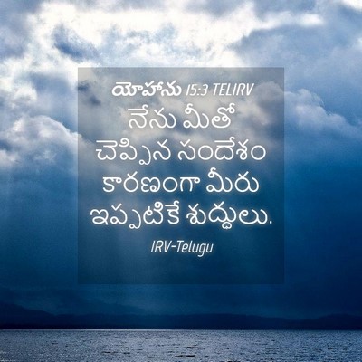 Picture 04 - యోహాను 15:3 TELIRV - నేను మీతో చెప్పిన - Bible Verse Picture