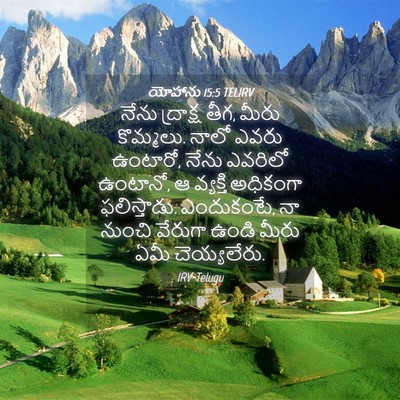 Picture 04 - యోహాను 15:5 TELIRV - నేను ద్రాక్ష తీగ, - Bible Verse Picture