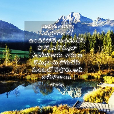 Picture 04 - యోహాను 15:6 TELIRV - ఎవరైనా నాలో - Bible Verse Picture