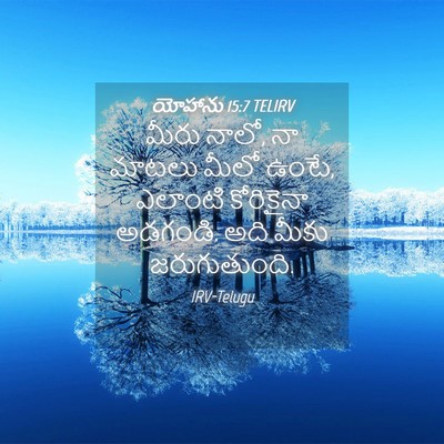 Picture 04 - యోహాను 15:7 TELIRV - మీరు నాలో, నా మాటలు - Bible Verse Picture