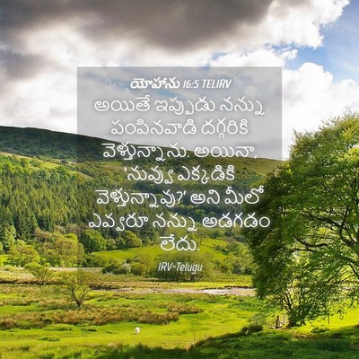 Picture 04 - యోహాను 16:5 TELIRV - అయితే ఇప్పుడు - Bible Verse Picture