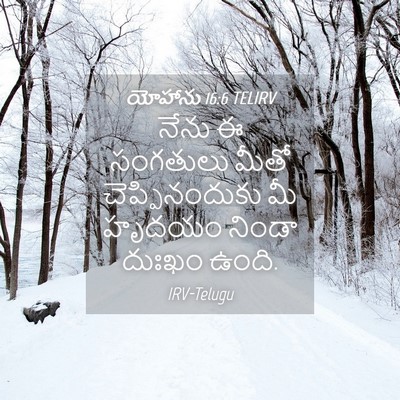 Picture 04 - యోహాను 16:6 TELIRV - నేను ఈ సంగతులు - Bible Verse Picture