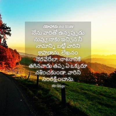 Picture 04 - యోహాను 17:12 TELIRV - నేను వారితో - Bible Verse Picture