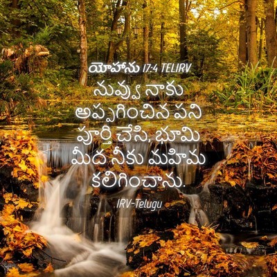 Picture 04 - యోహాను 17:4 TELIRV - నువ్వు నాకు - Bible Verse Picture
